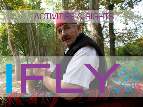 Activities